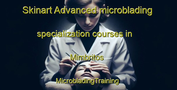 Skinart Advanced microblading specialization courses in Mimbritos | #MicrobladingTraining #MicrobladingClasses #SkinartTraining-Mexico