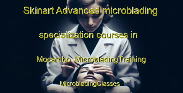 Skinart Advanced microblading specialization courses in Mocambo | MicrobladingTraining | MicrobladingClasses | SkinartTraining-Mexico