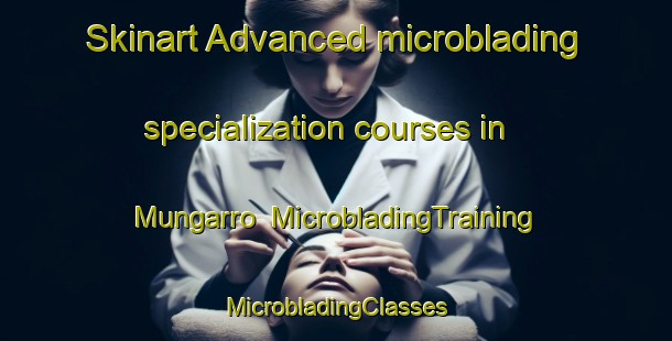 Skinart Advanced microblading specialization courses in Mungarro | #MicrobladingTraining #MicrobladingClasses #SkinartTraining-Mexico