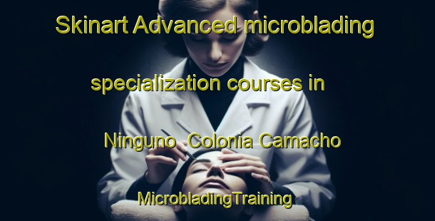 Skinart Advanced microblading specialization courses in Ninguno  Colonia Camacho | #MicrobladingTraining #MicrobladingClasses #SkinartTraining-Mexico