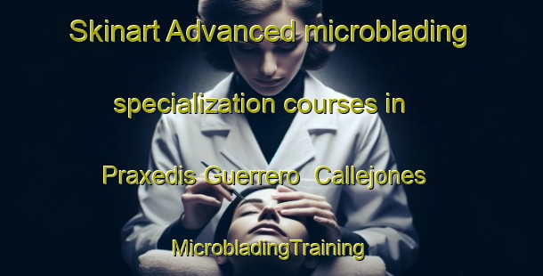 Skinart Advanced microblading specialization courses in Praxedis Guerrero  Callejones | #MicrobladingTraining #MicrobladingClasses #SkinartTraining-Mexico