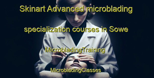 Skinart Advanced microblading specialization courses in Sowe | MicrobladingTraining | MicrobladingClasses | SkinartTraining-Mexico