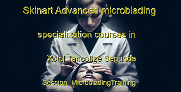 Skinart Advanced microblading specialization courses in Xolol Tancoltze Segunda Seccion | #MicrobladingTraining #MicrobladingClasses #SkinartTraining-Mexico