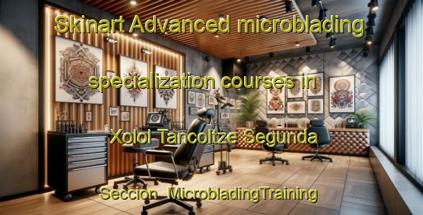 Skinart Advanced microblading specialization courses in Xolol Tancoltze Segunda Seccion | #MicrobladingTraining #MicrobladingClasses #SkinartTraining-Mexico