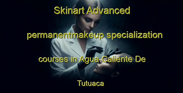 Skinart Advanced permanentmakeup specialization courses in Agua Caliente De Tutuaca | #PermanentmakeupTraining #PermanentmakeupClasses #SkinartTraining-Mexico