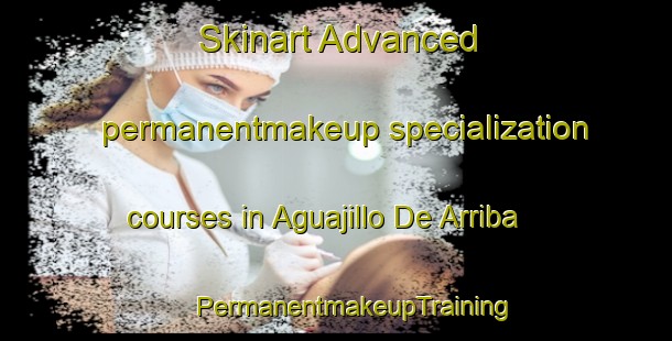 Skinart Advanced permanentmakeup specialization courses in Aguajillo De Arriba | #PermanentmakeupTraining #PermanentmakeupClasses #SkinartTraining-Mexico