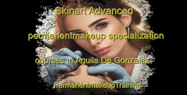 Skinart Advanced permanentmakeup specialization courses in Aguila De Gonzalez | #PermanentmakeupTraining #PermanentmakeupClasses #SkinartTraining-Mexico