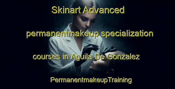 Skinart Advanced permanentmakeup specialization courses in Aguila De Gonzalez | #PermanentmakeupTraining #PermanentmakeupClasses #SkinartTraining-Mexico