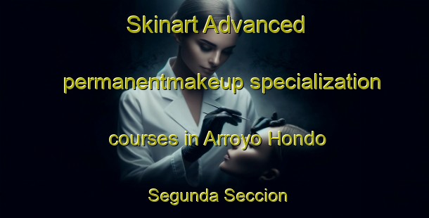 Skinart Advanced permanentmakeup specialization courses in Arroyo Hondo Segunda Seccion | #PermanentmakeupTraining #PermanentmakeupClasses #SkinartTraining-Mexico