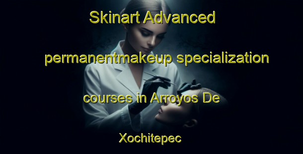 Skinart Advanced permanentmakeup specialization courses in Arroyos De Xochitepec | #PermanentmakeupTraining #PermanentmakeupClasses #SkinartTraining-Mexico