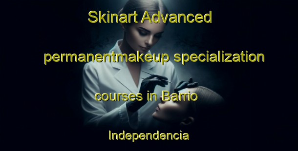 Skinart Advanced permanentmakeup specialization courses in Barrio Independencia | #PermanentmakeupTraining #PermanentmakeupClasses #SkinartTraining-Mexico