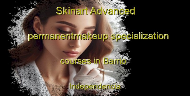 Skinart Advanced permanentmakeup specialization courses in Barrio Independencia | #PermanentmakeupTraining #PermanentmakeupClasses #SkinartTraining-Mexico