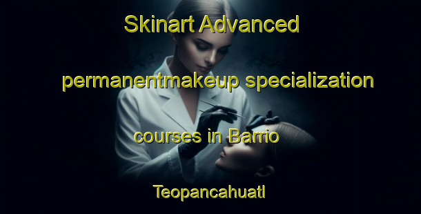 Skinart Advanced permanentmakeup specialization courses in Barrio Teopancahuatl | #PermanentmakeupTraining #PermanentmakeupClasses #SkinartTraining-Mexico