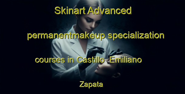 Skinart Advanced permanentmakeup specialization courses in Castillo  Emiliano Zapata | #PermanentmakeupTraining #PermanentmakeupClasses #SkinartTraining-Mexico