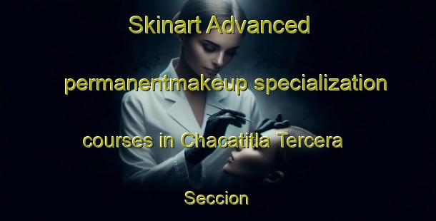 Skinart Advanced permanentmakeup specialization courses in Chacatitla Tercera Seccion | #PermanentmakeupTraining #PermanentmakeupClasses #SkinartTraining-Mexico