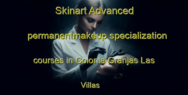 Skinart Advanced permanentmakeup specialization courses in Colonia Granjas Las Villas | #PermanentmakeupTraining #PermanentmakeupClasses #SkinartTraining-Mexico