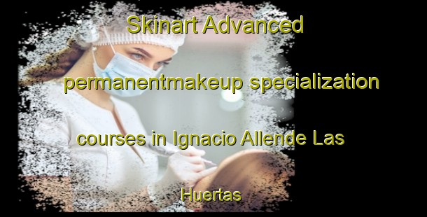 Skinart Advanced permanentmakeup specialization courses in Ignacio Allende Las Huertas | #PermanentmakeupTraining #PermanentmakeupClasses #SkinartTraining-Mexico