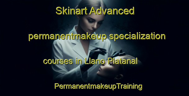 Skinart Advanced permanentmakeup specialization courses in Llano Platanal | #PermanentmakeupTraining #PermanentmakeupClasses #SkinartTraining-Mexico