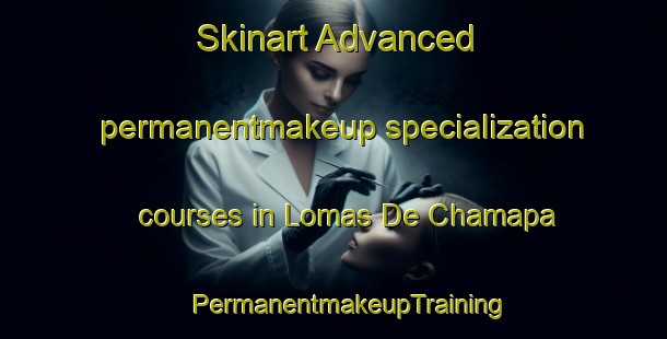 Skinart Advanced permanentmakeup specialization courses in Lomas De Chamapa | #PermanentmakeupTraining #PermanentmakeupClasses #SkinartTraining-Mexico