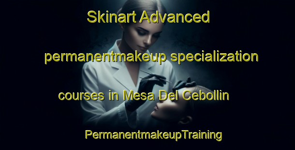 Skinart Advanced permanentmakeup specialization courses in Mesa Del Cebollin | #PermanentmakeupTraining #PermanentmakeupClasses #SkinartTraining-Mexico