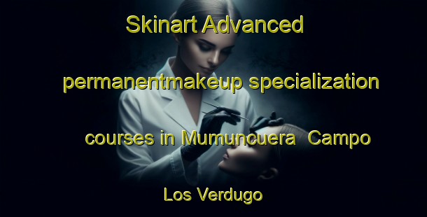 Skinart Advanced permanentmakeup specialization courses in Mumuncuera  Campo Los Verdugo | #PermanentmakeupTraining #PermanentmakeupClasses #SkinartTraining-Mexico