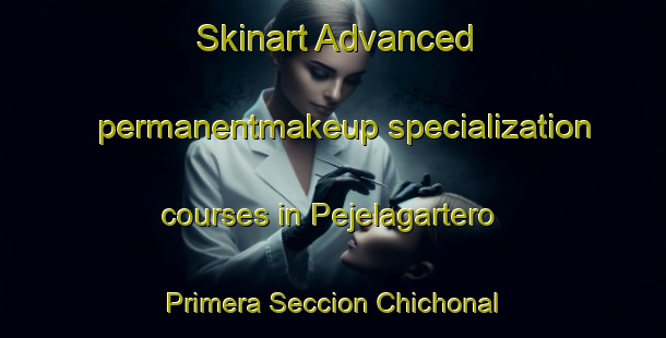 Skinart Advanced permanentmakeup specialization courses in Pejelagartero Primera Seccion Chichonal | #PermanentmakeupTraining #PermanentmakeupClasses #SkinartTraining-Mexico