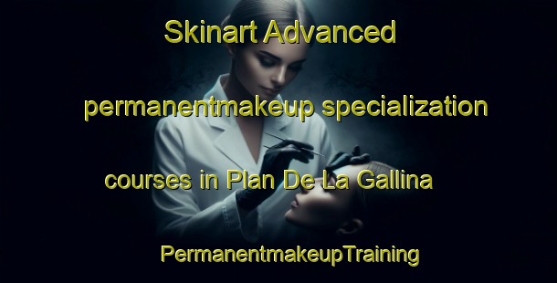 Skinart Advanced permanentmakeup specialization courses in Plan De La Gallina | #PermanentmakeupTraining #PermanentmakeupClasses #SkinartTraining-Mexico