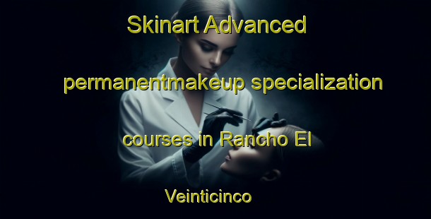 Skinart Advanced permanentmakeup specialization courses in Rancho El Veinticinco | #PermanentmakeupTraining #PermanentmakeupClasses #SkinartTraining-Mexico