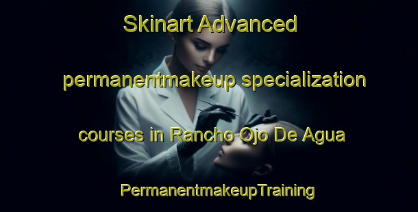 Skinart Advanced permanentmakeup specialization courses in Rancho Ojo De Agua | #PermanentmakeupTraining #PermanentmakeupClasses #SkinartTraining-Mexico