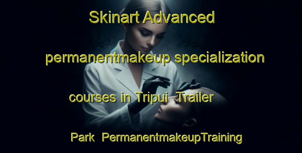 Skinart Advanced permanentmakeup specialization courses in Tripui  Trailer Park | #PermanentmakeupTraining #PermanentmakeupClasses #SkinartTraining-Mexico