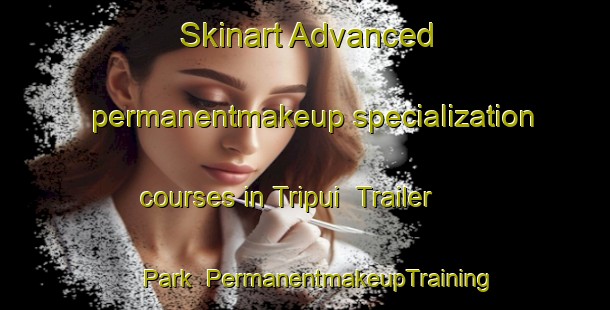 Skinart Advanced permanentmakeup specialization courses in Tripui  Trailer Park | #PermanentmakeupTraining #PermanentmakeupClasses #SkinartTraining-Mexico