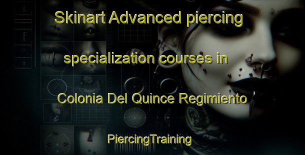 Skinart Advanced piercing specialization courses in Colonia Del Quince Regimiento | #PiercingTraining #PiercingClasses #SkinartTraining-Mexico