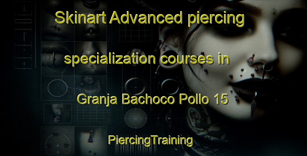 Skinart Advanced piercing specialization courses in Granja Bachoco Pollo 15 | #PiercingTraining #PiercingClasses #SkinartTraining-Mexico