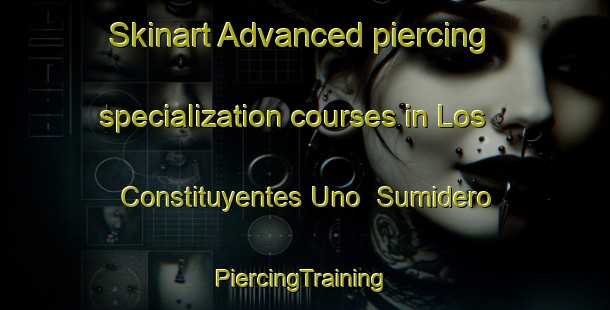 Skinart Advanced piercing specialization courses in Los Constituyentes Uno  Sumidero | #PiercingTraining #PiercingClasses #SkinartTraining-Mexico