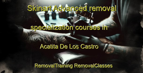 Skinart Advanced removal specialization courses in Acatita De Los Castro | #RemovalTraining #RemovalClasses #SkinartTraining-Mexico