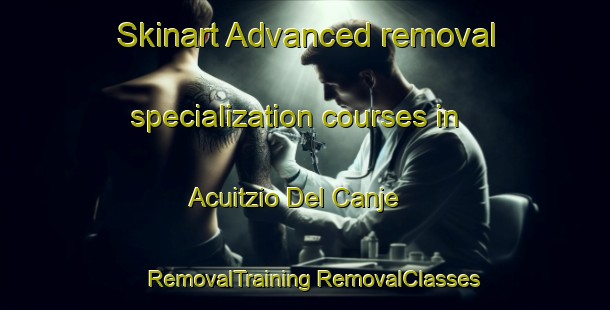 Skinart Advanced removal specialization courses in Acuitzio Del Canje | #RemovalTraining #RemovalClasses #SkinartTraining-Mexico