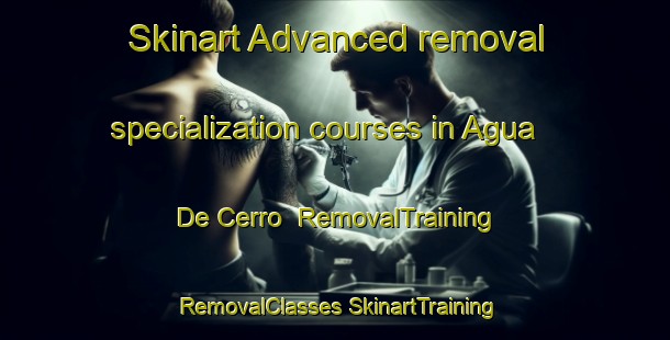 Skinart Advanced removal specialization courses in Agua De Cerro | #RemovalTraining #RemovalClasses #SkinartTraining-Mexico