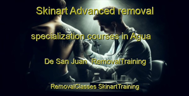 Skinart Advanced removal specialization courses in Agua De San Juan | #RemovalTraining #RemovalClasses #SkinartTraining-Mexico