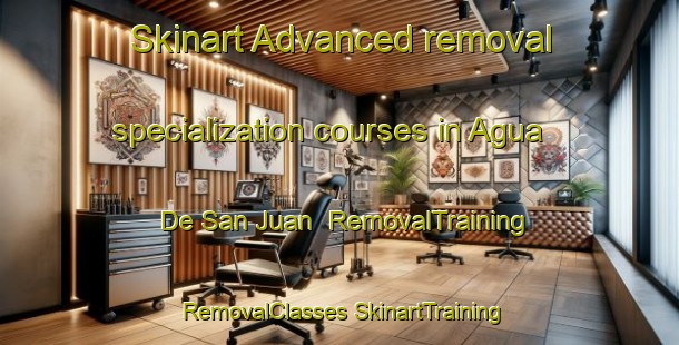 Skinart Advanced removal specialization courses in Agua De San Juan | #RemovalTraining #RemovalClasses #SkinartTraining-Mexico