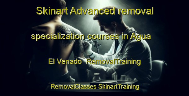 Skinart Advanced removal specialization courses in Agua El Venado | #RemovalTraining #RemovalClasses #SkinartTraining-Mexico