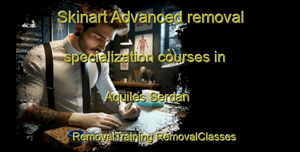 Skinart Advanced removal specialization courses in Aquiles Serdan | #RemovalTraining #RemovalClasses #SkinartTraining-Mexico