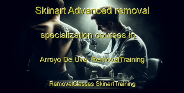 Skinart Advanced removal specialization courses in Arroyo De Uva | #RemovalTraining #RemovalClasses #SkinartTraining-Mexico