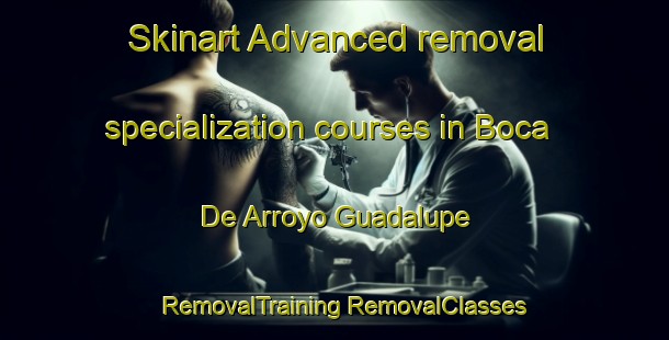 Skinart Advanced removal specialization courses in Boca De Arroyo Guadalupe | #RemovalTraining #RemovalClasses #SkinartTraining-Mexico