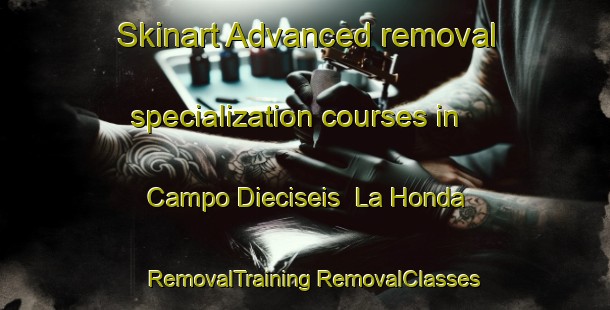 Skinart Advanced removal specialization courses in Campo Dieciseis  La Honda | #RemovalTraining #RemovalClasses #SkinartTraining-Mexico