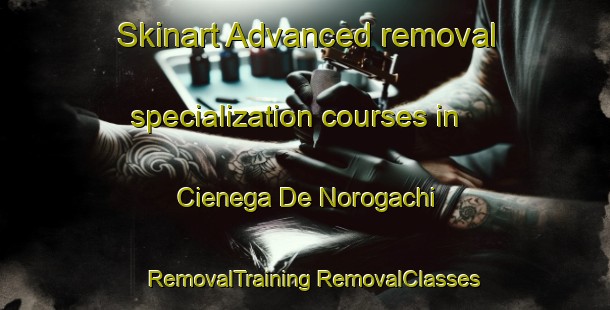 Skinart Advanced removal specialization courses in Cienega De Norogachi | #RemovalTraining #RemovalClasses #SkinartTraining-Mexico