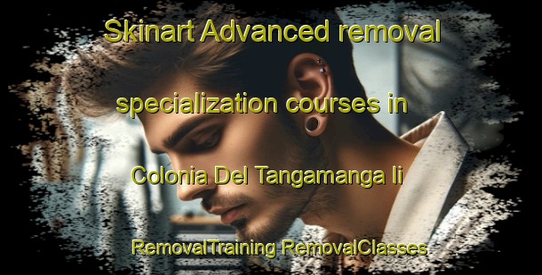 Skinart Advanced removal specialization courses in Colonia Del Tangamanga Ii | #RemovalTraining #RemovalClasses #SkinartTraining-Mexico