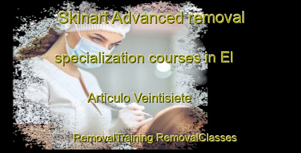 Skinart Advanced removal specialization courses in El Articulo Veintisiete | #RemovalTraining #RemovalClasses #SkinartTraining-Mexico