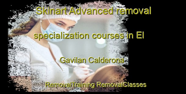 Skinart Advanced removal specialization courses in El Gavilan Calderona | #RemovalTraining #RemovalClasses #SkinartTraining-Mexico