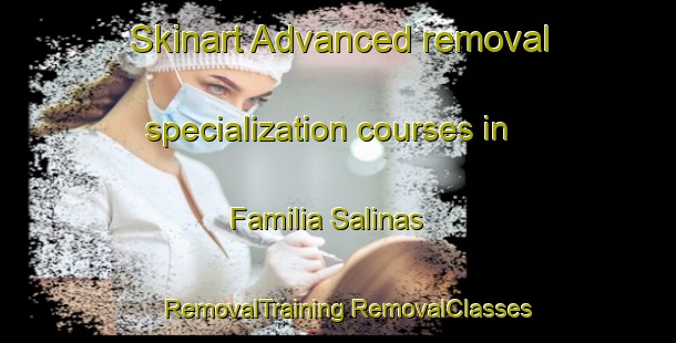 Skinart Advanced removal specialization courses in Familia Salinas | #RemovalTraining #RemovalClasses #SkinartTraining-Mexico