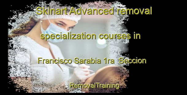 Skinart Advanced removal specialization courses in Francisco Sarabia 1ra  Seccion | #RemovalTraining #RemovalClasses #SkinartTraining-Mexico